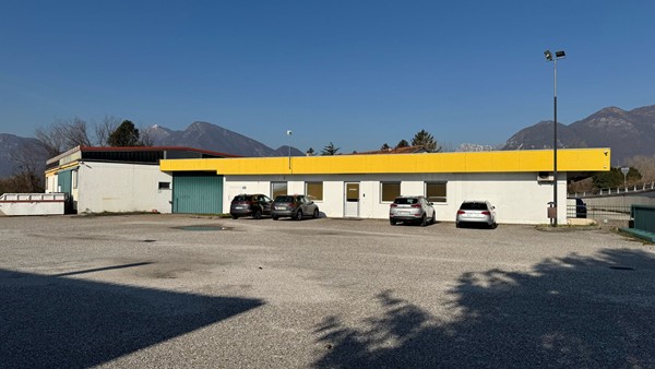 Immobile N.  38