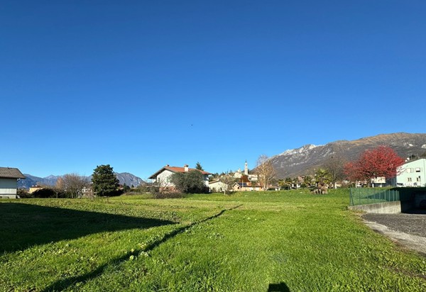Immobile N.  42